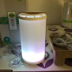 Scentsy Go